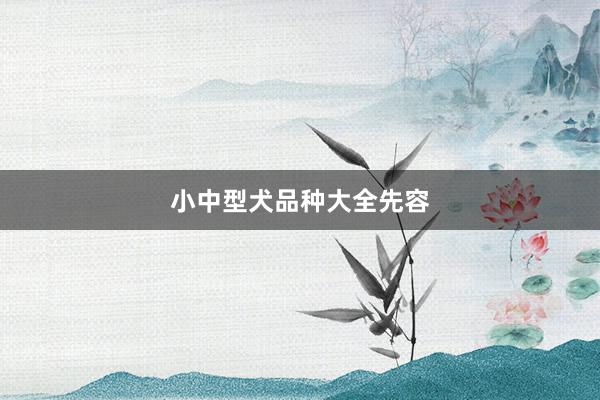 小中型犬品种大全先容