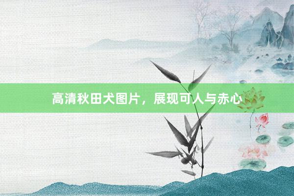 高清秋田犬图片，展现可人与赤心